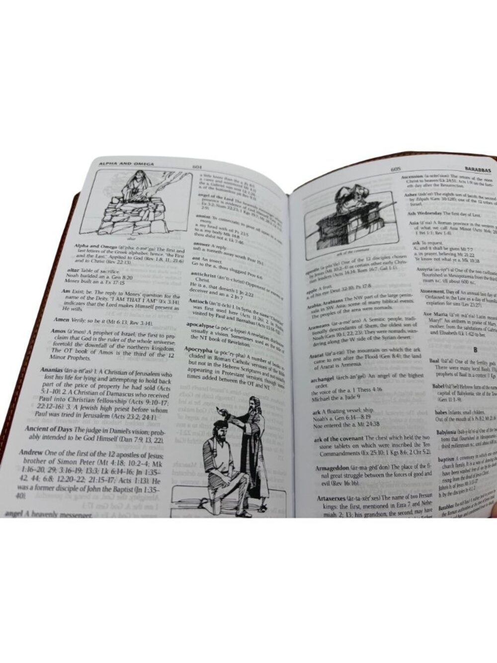 1987 KJV Holy Bible Thomas Nelson Red Letter Self Pronouncing Faux Leather Cover - Picture 9 of 11